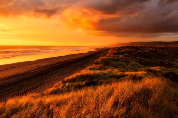 beach sunset New Zealand
